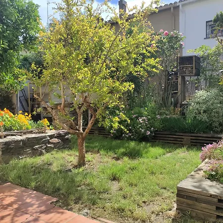 Les Papillons Apartment Perpignan