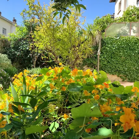 Apartment Les Papillons