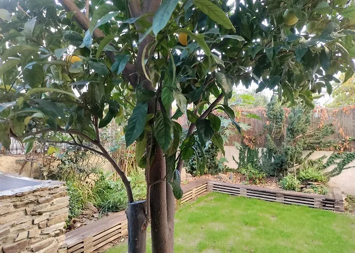 Les Papillons Perpignan