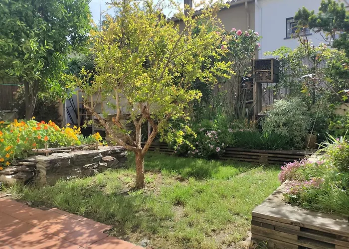 Les Papillons Apartament Perpignan